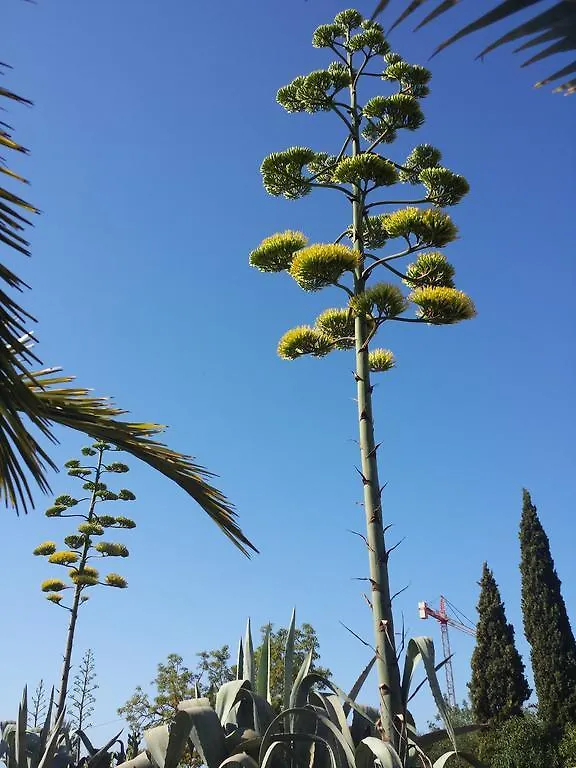 Agroturismo Ca Na Joaneta Santa Eularia des Riu