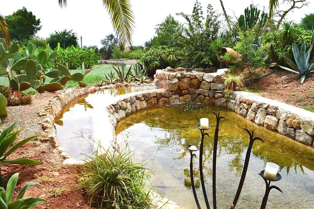 Agroturismo Ca Na Joaneta Santa Eularia des Riu Feriegård